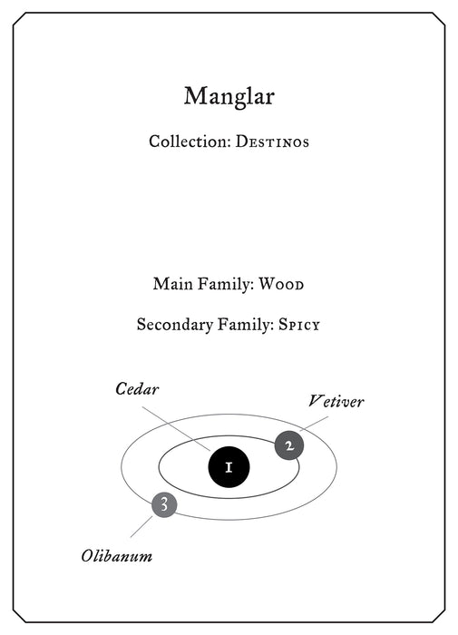 Manglar– Fueguia 1833