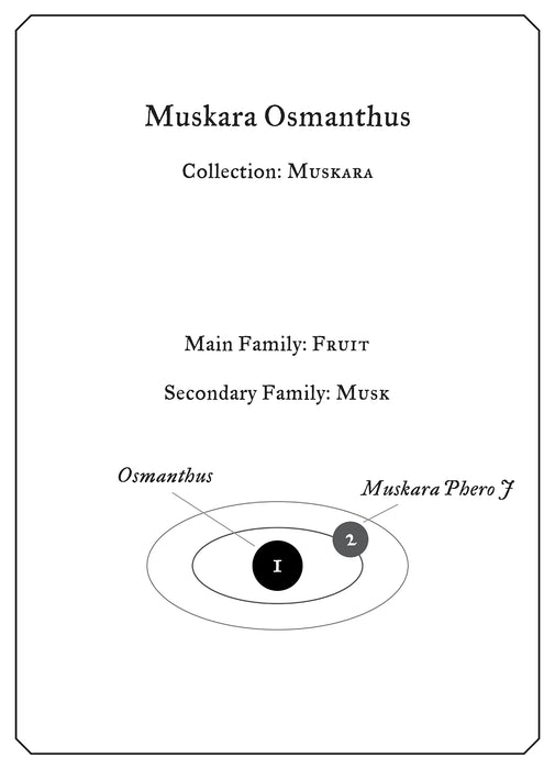 Muskara Osmanthus