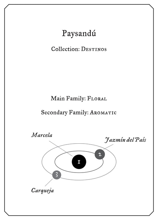 Paysandú