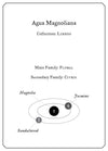 Agua Magnoliana perfume notes ingredients