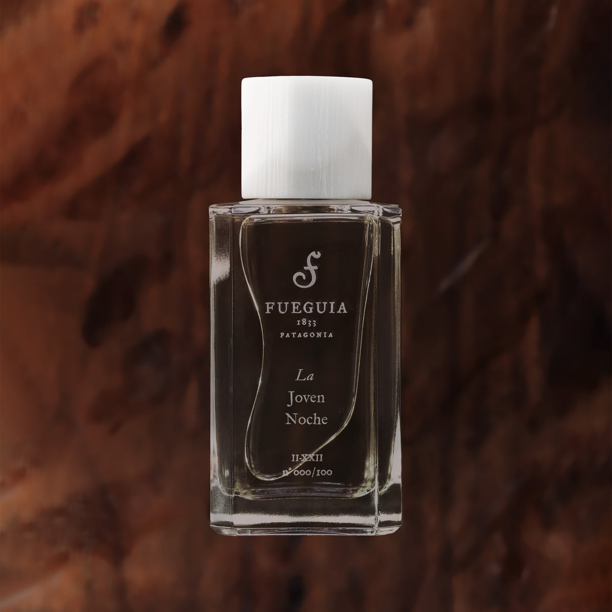 LaJovenNoche_0cf12eba-b840-