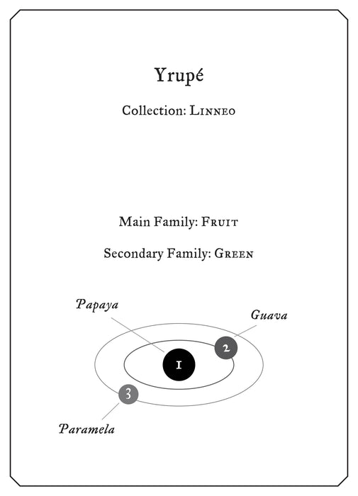 Yrupé